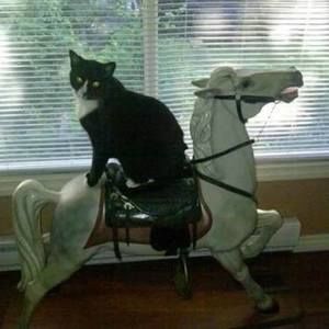 Meet your Posher, Jean